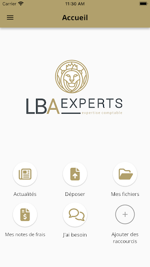 LBA Experts Screenshot 1