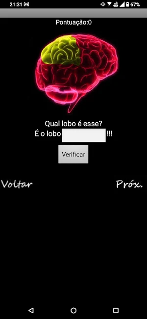 NeuroQuiz do GTED UFFS Screenshot 1