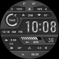 Elegant Gray Metal ZKin Watch