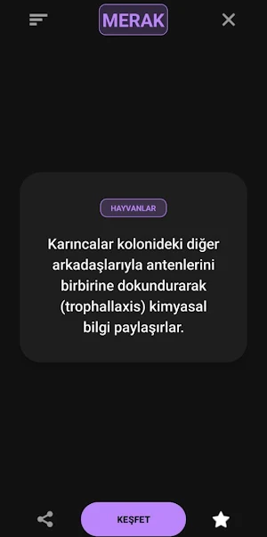 günlük rastgele bilgi ücretsiz Screenshot 3