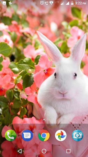 Easter Wallpaper Screenshot 2