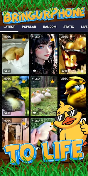duck wallpaper Screenshot 1