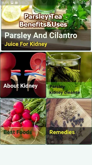 Kidney Cleanse Juice Screenshot 3