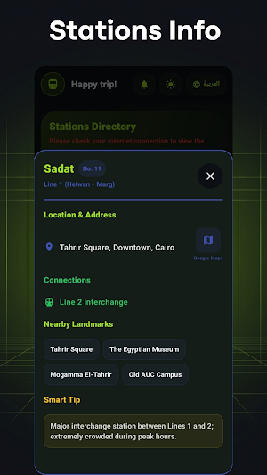 Egypt Transport Screenshot 2