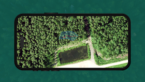 Timbeter Forest Screenshot 1