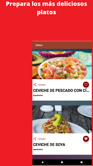 Recetas de Cocina Screenshot 1