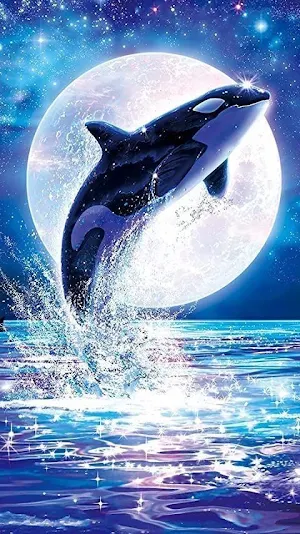 Paus Orca Wallpaper Yi Screenshot 0