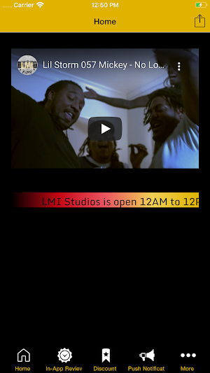 LMI Studios Screenshot 1