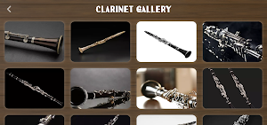 Clarinet Instrument Screenshot 3