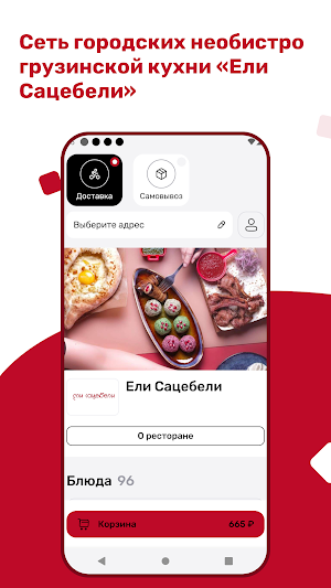 Ели Сацебели Screenshot 0