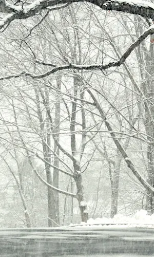 Beautiful Snowfall Wallpapers Screenshot 1