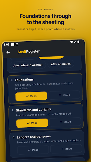 Scaffold Inspection Register Screenshot 3