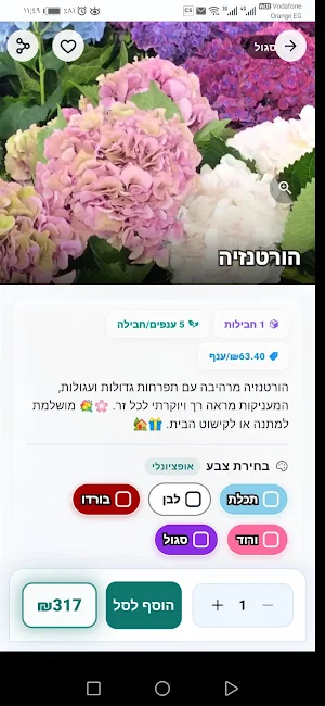 B.Flowers — פרחי בייקר Screenshot 1