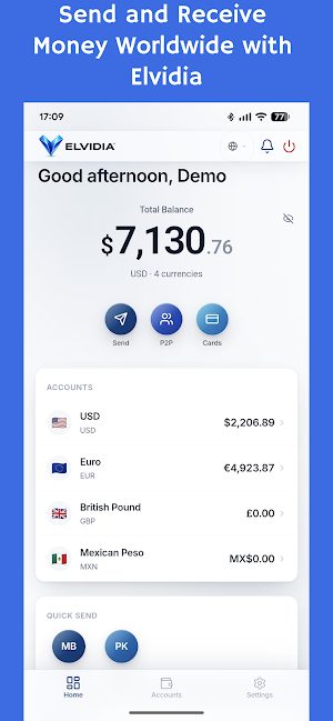 ELVIDIA Global Banking Screenshot 0