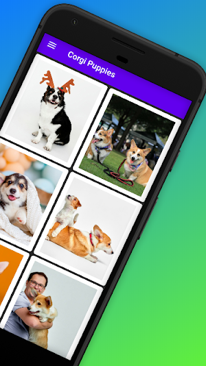 Corgi Puppies Screenshot 2