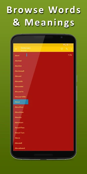English Pashto Dictionary Screenshot 3
