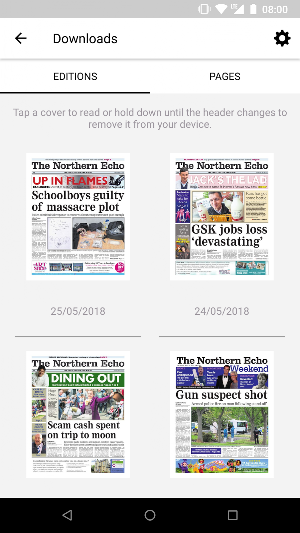 Northern Echo Screenshot 3