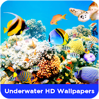 Underwater HD Wallpapers
