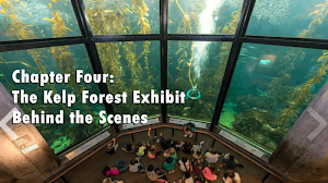 The Kelp Forest: A Young Explorer's Guide ebook Screenshot 3