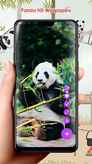 Panda HD Wallpapers Screenshot 0