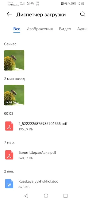 Bitchute media downloader Screenshot 3
