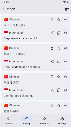 Chinese Indonesian Translator Screenshot 1