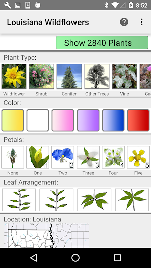 Louisiana Wildflowers Screenshot 0
