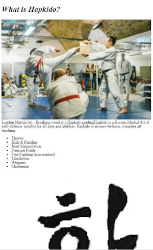 How to Do Hapkido Training Screenshot 2