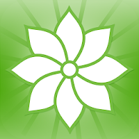 Mindfulness: 2012