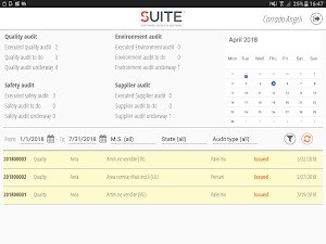 Audit Screenshot 0
