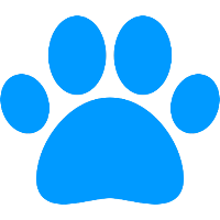 Animal Wiki