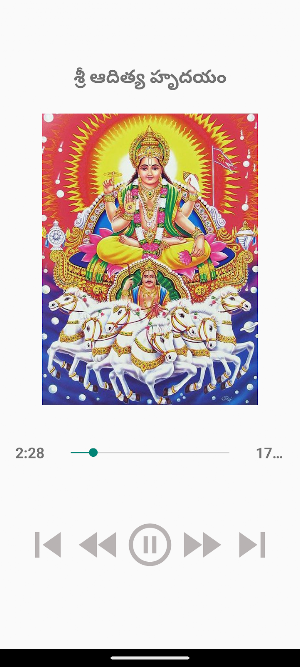 Sri Aditya Hridayam Screenshot 0