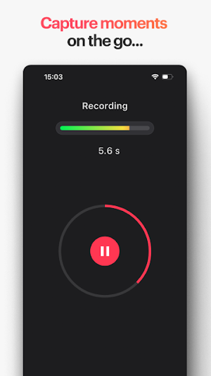 Life Field Recorder Screenshot 3