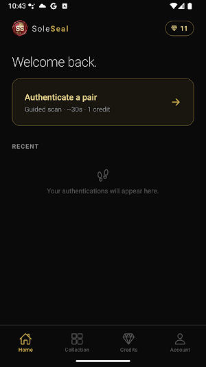 SoleSeal Screenshot 2