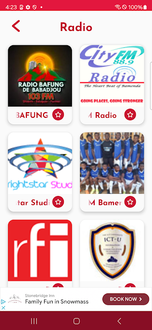 Radios TV Cameroon Screenshot 2
