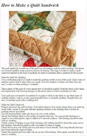 Quilting Techniques Guide Screenshot 2