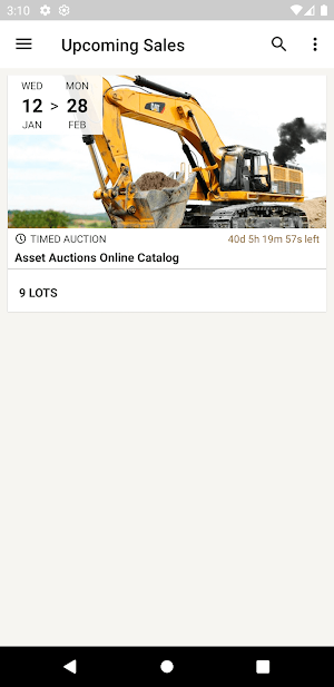 Asset Bids Screenshot 0