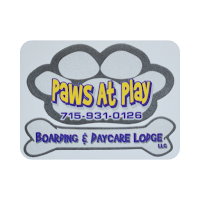 Paws at Play