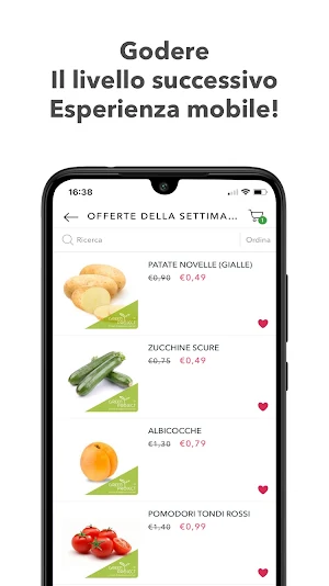 Green Project Screenshot 1