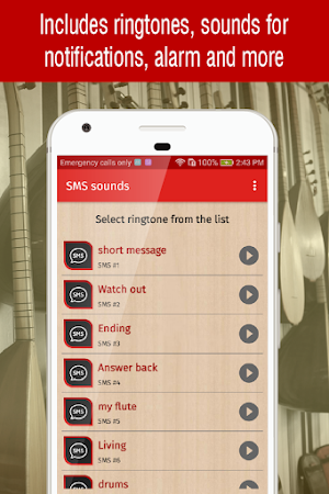 turkish ringtones for phone Screenshot 3