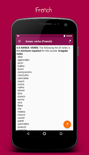 Technicals  Form 1-4  (French, Music,German) Screenshot 3