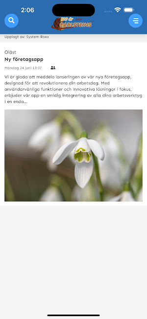 Carlsteins Screenshot 3