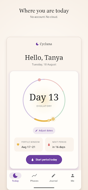 Cycluna Screenshot 0