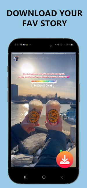 Story - Video Downloader : RUX Screenshot 3