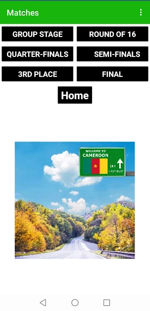 Africa Cup 2021 Screenshot 1