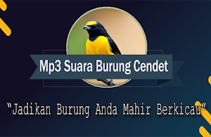 Suara Burung Sirtu Gacor Offline Screenshot 0
