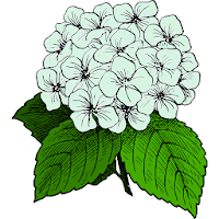 Botanical families