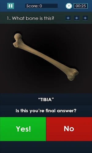 Dr. Girder's Bones Screenshot 3