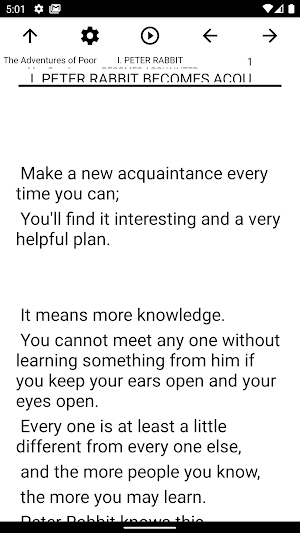 Book, The Adventures of Poor M Screenshot 1