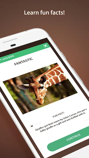 Animal Quiz Screenshot 3
